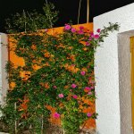 Kirayə (aylıq) 5 otaqlı Bağ evi, Buzovna, Xəzər rayonu 2