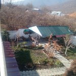 Kirayə (günlük) 3 otaqlı Həyət evi/villa Qax 24