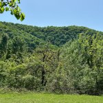 Продажа Участок Гябяля 10