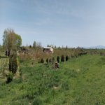 Продажа Участок Хачмаз 46