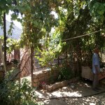 Satılır 3 otaqlı Bağ evi, Binə qəs., Xəzər rayonu 3