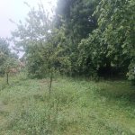 Satılır Torpaq Qəbələ 4
