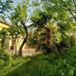 Kirayə (günlük) 3 otaqlı Həyət evi/villa İsmayıllı 6