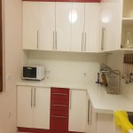Kirayə (aylıq) 2 otaqlı Yeni Tikili, Nəriman Nərimanov metrosu, Montin qəs., Nərimanov rayonu 8