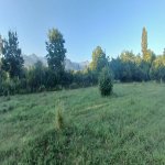 Satılır Torpaq Qəbələ 1