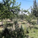 Kirayə (günlük) 2 otaqlı Həyət evi/villa İsmayıllı 10