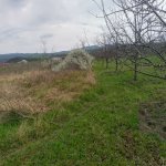 Satılır Torpaq Quba 25