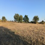 Satılır Torpaq Qəbələ 9