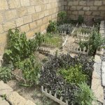 Продажа 5 комнат Дома/Виллы, м. 20 Января метро, Алатава, , Ясамал район 7
