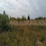 Satılır Torpaq, Sabunçu rayonu 15