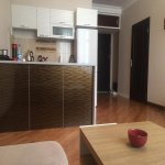 Аренда 2 комнатная Новостройка, м. 20 Января метро, Насими район 4