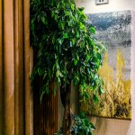 Kirayə (günlük) 3 otaqlı Yeni Tikili, Xətai metrosu, Ağ şəhər, Xətai rayonu 18