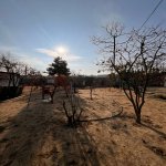 Продажа Участок, Горадиль, Абшерон район 5