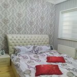 Satılır 3 otaqlı Həyət evi/villa, Azadlıq metrosu, Binəqədi qəs., Binəqədi rayonu 6