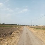Satılır Torpaq Cəlilabad 1