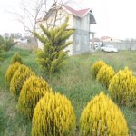 Satılır 3 otaqlı Bağ evi, Buzovna, Xəzər rayonu 18