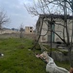 Satılır Torpaq, Abşeron rayonu 12