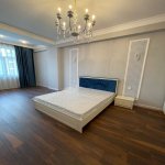 Kirayə (aylıq) 2 otaqlı Yeni Tikili, Nizami metrosu, Nəsimi rayonu 8