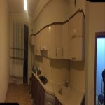 Kirayə (aylıq) 2 otaqlı Yeni Tikili, Gənclik metrosu, Nərimanov rayonu 2