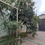 Продажа 4 комнатная Дома/Виллы, пос. Гарачухур, Сураханы район 5