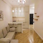 Kirayə (aylıq) 2 otaqlı Yeni Tikili, Bakıxanov qəs., Sabunçu rayonu 3