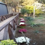 Kirayə (günlük) 9 otaqlı Bağ evi, Şüvəlan, Xəzər rayonu 4