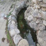 Kirayə (aylıq) 9 otaqlı Bağ evi, Novxanı, Abşeron rayonu 11