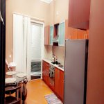 Kirayə (günlük) 3 otaqlı Yeni Tikili, 28 May metrosu, Nəsimi rayonu 10