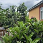 Kirayə (günlük) 3 otaqlı Həyət evi/villa İsmayıllı 11