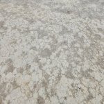 Satılır Torpaq, Masazır, Abşeron rayonu 5