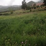 Satılır 3 otaqlı Həyət evi/villa İsmayıllı 3