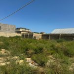 Satılır Torpaq, Novxanı, Abşeron rayonu 2