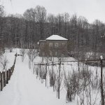Kirayə (günlük) 3 otaqlı Bağ evi Quba 8