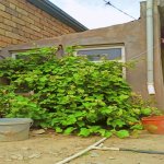 Satılır 6 otaqlı Həyət evi/villa, Hökməli, Abşeron rayonu 7