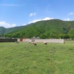 Продажа Участок Гябяля 5