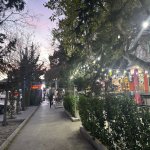 Kirayə (aylıq) Obyekt, Nəsimi rayonu 10
