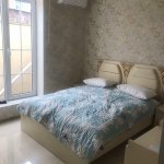 Kirayə (günlük) 5 otaqlı Həyət evi/villa Qəbələ 3