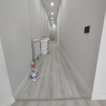 Kirayə (aylıq) 9 otaqlı Ofis, İnşaatçılar metrosu, Baku Mall, Yasamal rayonu 12