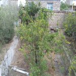 Satılır 4 otaqlı Bağ evi, Hövsan qəs., Suraxanı rayonu 14