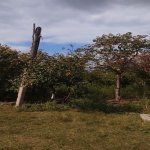 Satılır 2 otaqlı Həyət evi/villa Bərdə 2