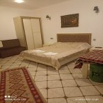 Kirayə (günlük) 1 otaqlı Həyət evi/villa Qəbələ 8