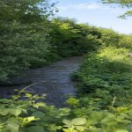 Satılır Torpaq Quba 13