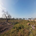 Satılır Torpaq, Maştağa qəs., Sabunçu rayonu 4