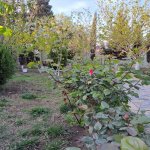 Satılır 5 otaqlı Bağ evi, Novxanı, Abşeron rayonu 45