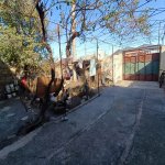 Продажа 3 комнатная Дома/Виллы Хырдалан 4