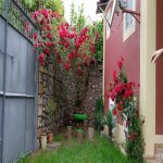Kirayə (günlük) 4 otaqlı Həyət evi/villa Oğuz 1