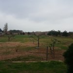 Satılır 7 otaqlı Həyət evi/villa, Bilgəh qəs., Sabunçu rayonu 7
