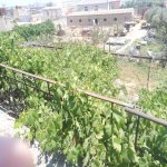 Satılır 4 otaqlı Həyət evi/villa, Kürdəxanı qəs., Sabunçu rayonu 6
