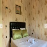 Kirayə (günlük) 4 otaqlı Bağ evi Qəbələ 11