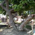 Satılır 5 otaqlı Həyət evi/villa, İçərişəhər metrosu, Bayıl qəs., Səbail rayonu 3